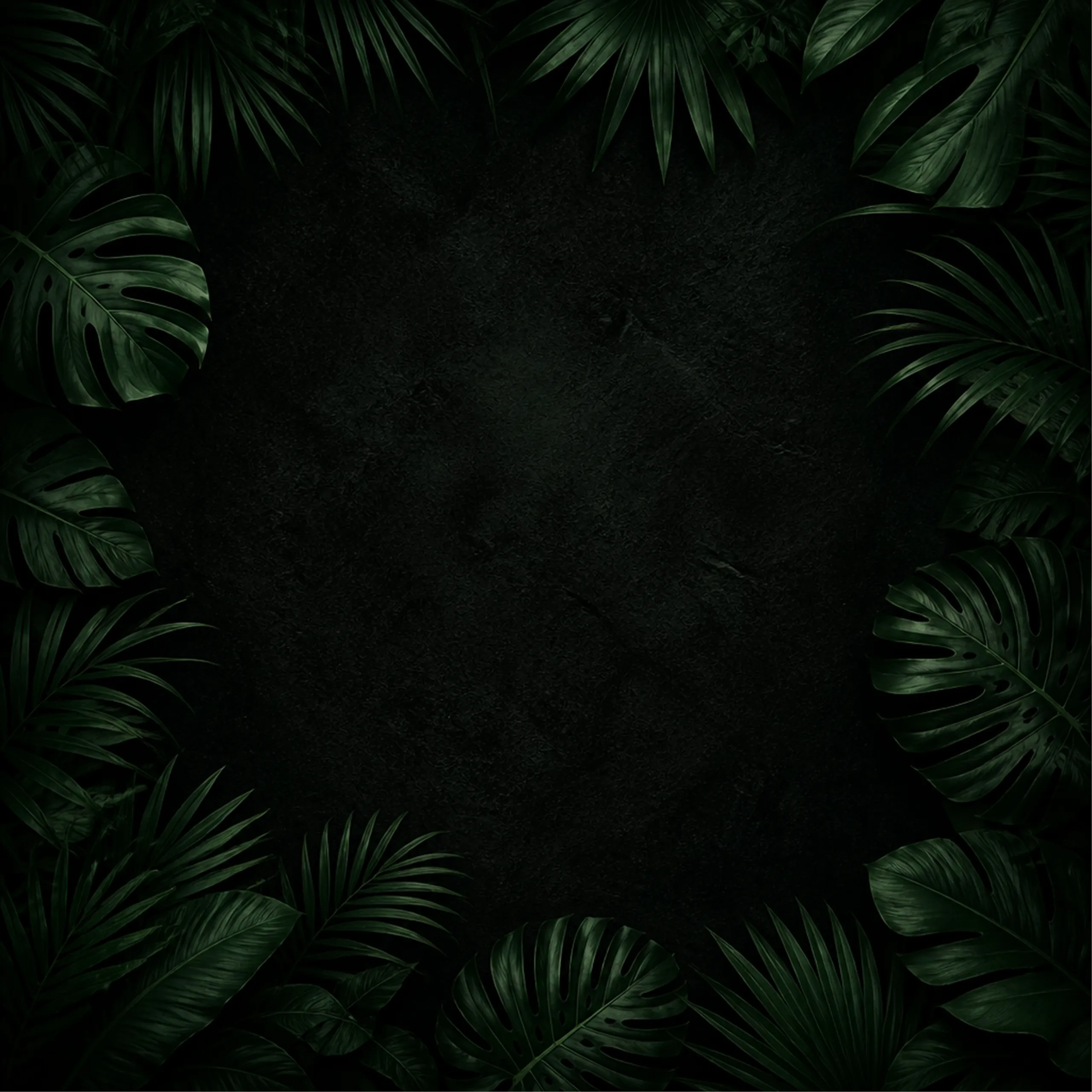 Tropical foliage at night